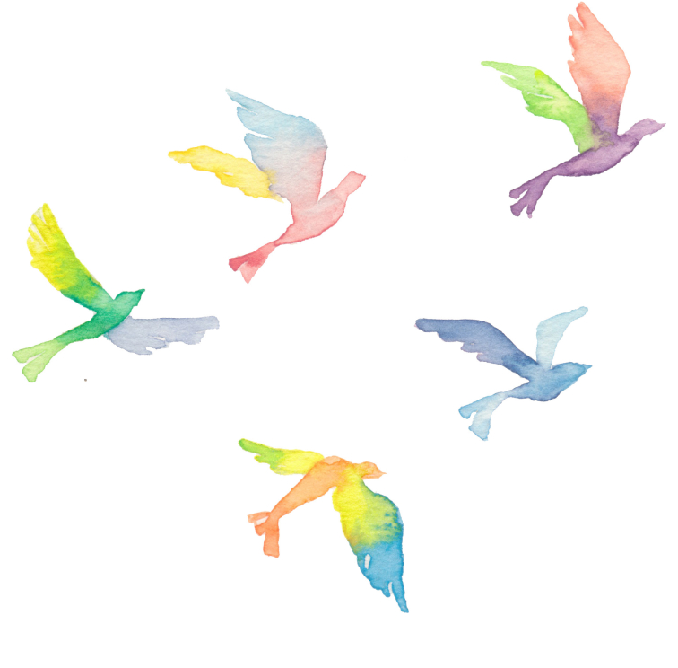 みか月について