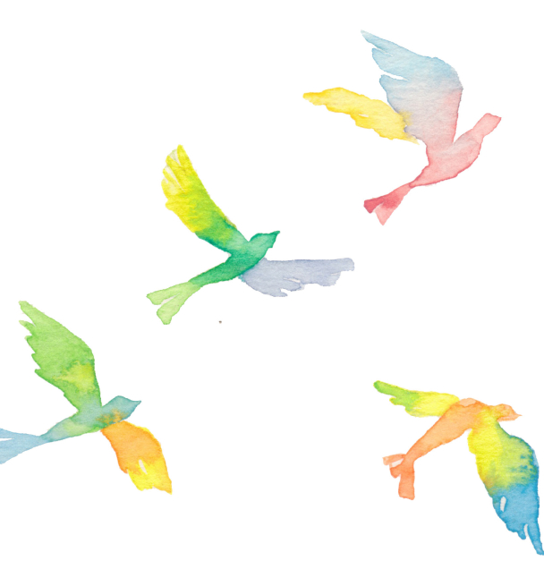 みか月について